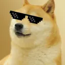 Adrian Junge profile image